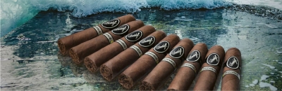 Kategoriebild der Kategorie “Davidoff Escurio Serie”