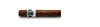Artikelbild 1 des Artikels “Asylum Schizo Zigarre Robusto “