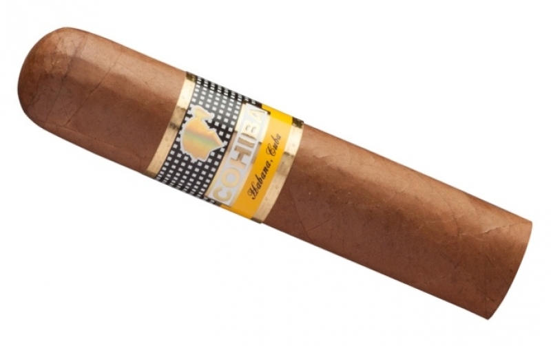 Artikelbild 1 des Artikels “Cohiba Zigarre Medio Siglo “