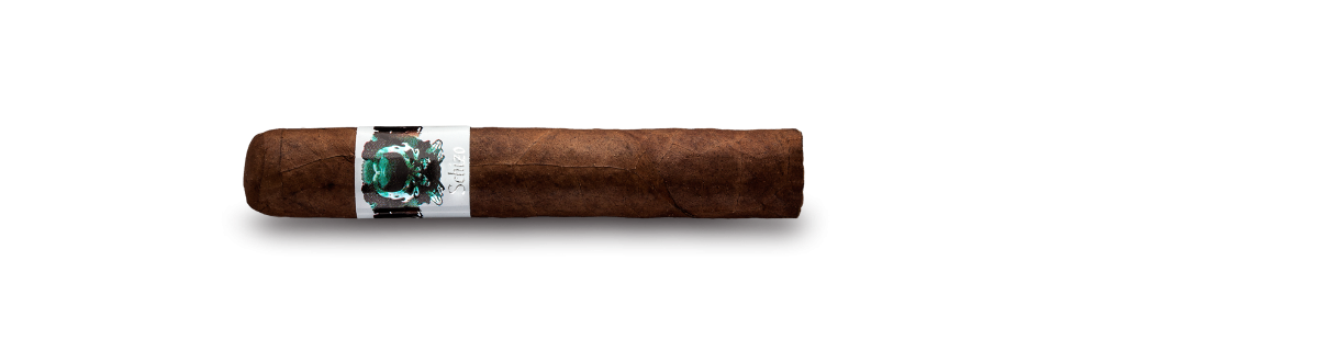 Artikelbild 1 des Artikels “Asylum Schizo Zigarre Robusto “