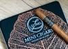 Artikelbild 2 des Artikels “Leonel Mini Zigarre Premium Blend “