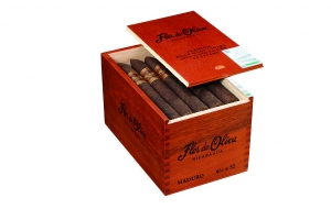 Artikelbild 2 des Artikels “Zigarre Flor de Oliva Maduro Torpedo 6½ x 52 “