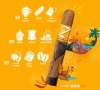 Artikelbild 4 des Artikels “Zigarre Zino Nicaragua Robusto “