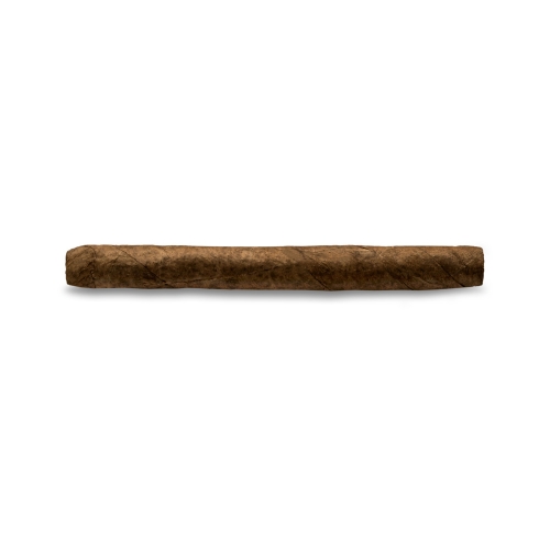 Artikelbild des Artikels “10er Packung Bentley Senoritas “